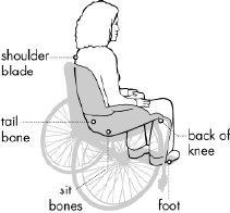 diagram of woman sitting in wheelchair