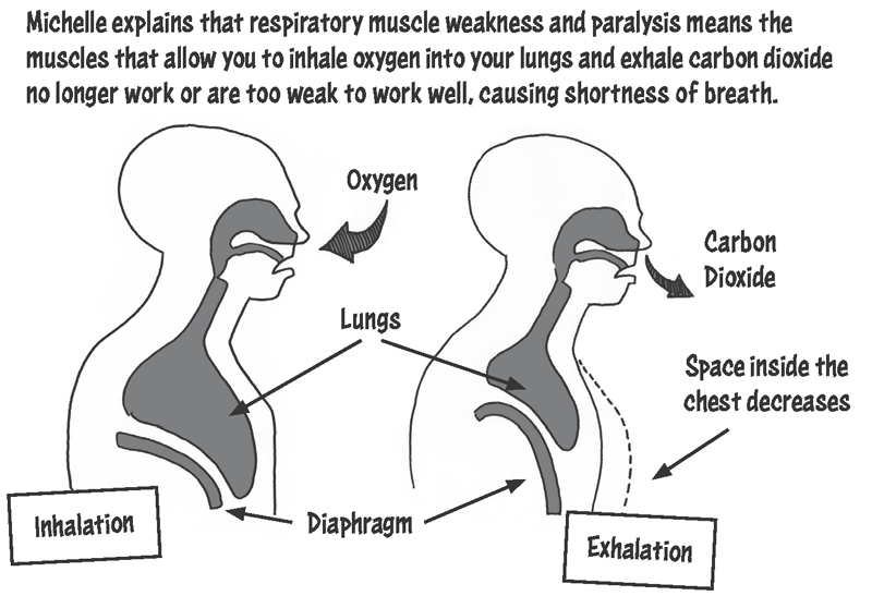 Michelle explains that respiratory muscle weakness and paralysis means the muscles that allow you to inhale oxygen into your lungs and exhale carbon dioxide no longer work or are too weak to work well, causing shortness of breath. A diagram follows demonstrating inhalation and exhalation. Oxygen enters the lungs during inhalation and carbon dioxide exits during exhalation. During inhalation, the space inside the chest increases and during exhalation, the space inside the chest decreases.