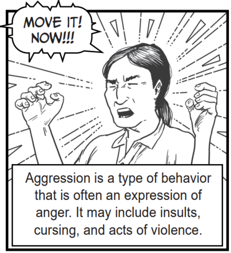 Aggression is a type of behavior that is often an expression of anger. It may include insults, cursing, and acts of violence.