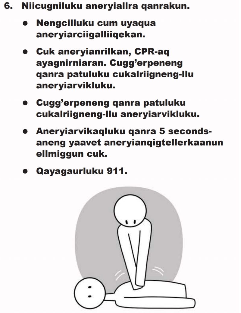 A pocket guide for caregivers about seizures