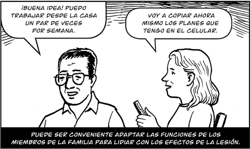 Puede ser conveniente adaptar las funciones de los  miembros de la familia para lidiar con los efectos de la lesión.