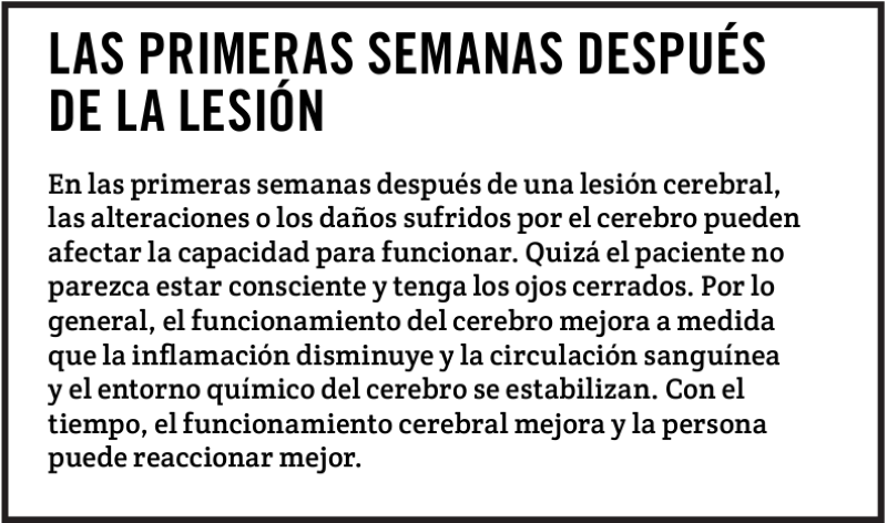 LAS PRIMERAS SEMANAS DESPUÉS DE LA LESIÓN