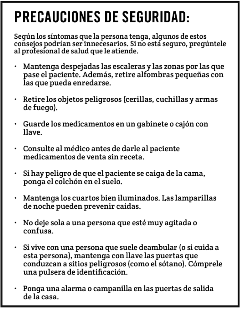 PRECAUCIONES DE SEGURIDAD.