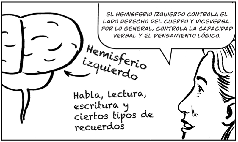 El hemisferio izquierdo controla el lado derecho del cuerpo y viceversa. Por lo general, controla la capacidad verbal y el pensamiento lógico.