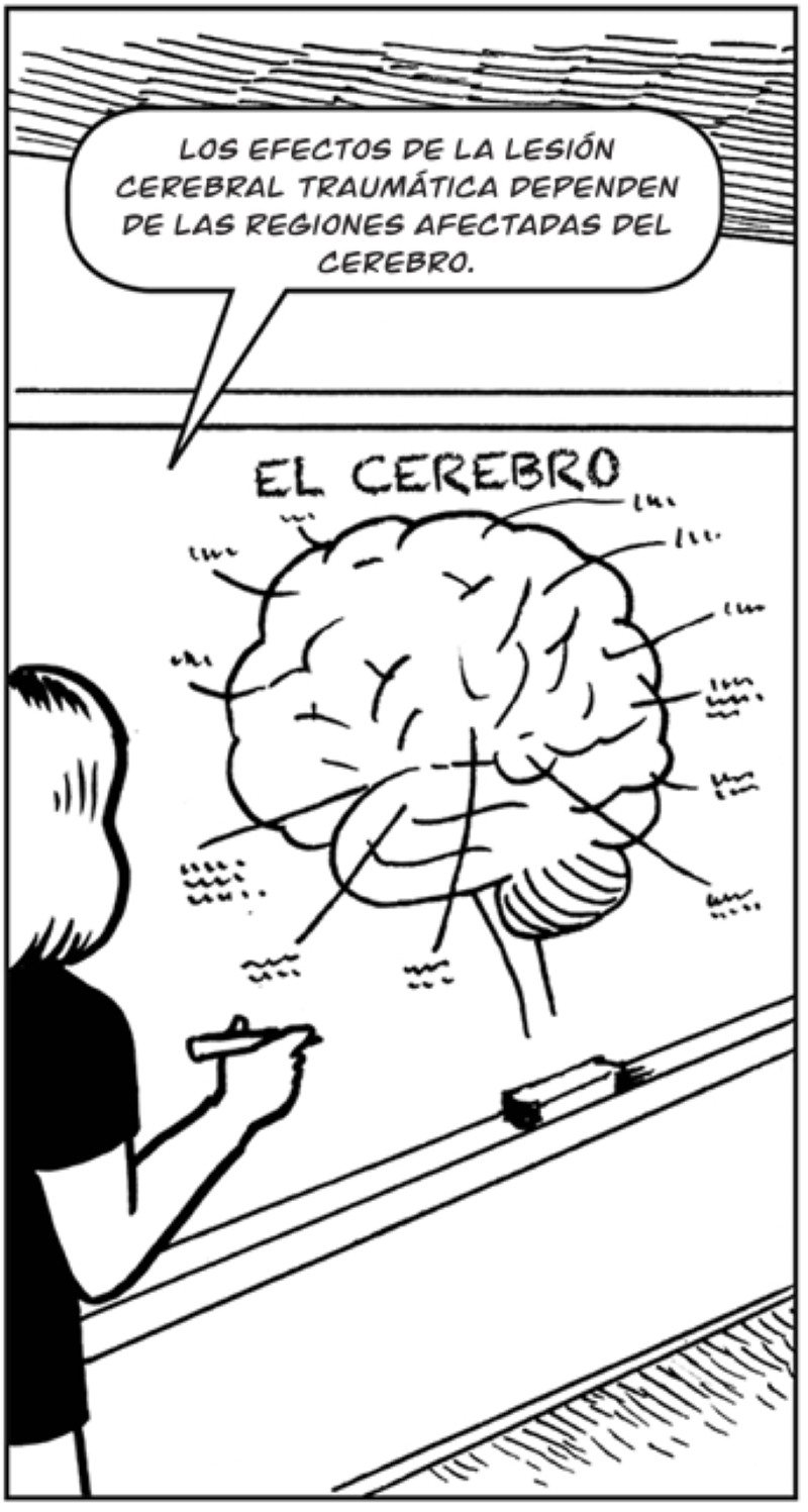 Los efectos de la lesión  cerebral traumática dependen de las regiones afectadas del cerebro.