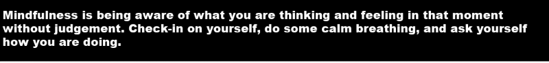 Mindfulness is being aware of what you are thinking and feeling in that moment without judgement. Check-in on yourself, do some calm breathing, and ask yourself how you are doing.