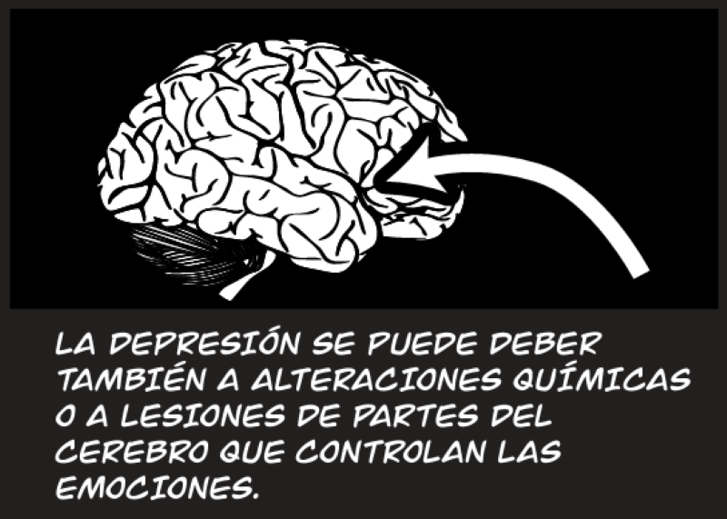 LA DEPRESIÓN SE PUEDE DEBER  TAMBIÉN A ALTERACIONES QUÍMICAS O A LESIONES DE PARTES DEL  CEREBRO QUE CONTROLAN LAS  EMOCIONES.