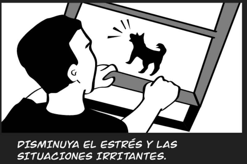 DISMINUYA EL ESTRÉS Y LAS SITUACIONES IRRITANTES.