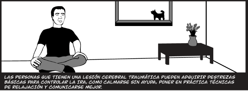 LAS PERSONAS QUE TIENEN UNA LESIÓN CEREBRAL TRAUMÁTICA PUEDEN ADQUIRIR DESTREZAS BÁSICAS PARA CONTROLAR LA IRA, COMO CALMARSE SIN AYUDA, PONER EN PRÁCTICA TÉCNICAS DE RELAJACIÓN Y COMUNICARSE MEJOR.