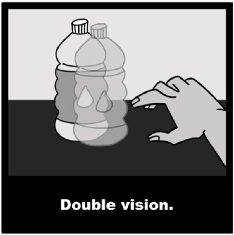 Double Vision
