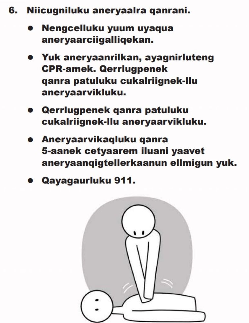 A pocket guide for caregivers about seizures