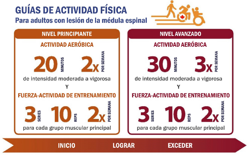 Guias de actividad Fisica