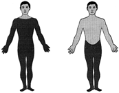  Dibujo de un hombre con sombreado desde los hombros hasta los pies. El sombreado indica las partes del cuerpo que se ven afectadas por una lesión a nivel de C 4. Dibujo de un hombre con sombreado desde las caderas hasta los pies. El sombreado indica las partes del cuerpo que se ven afectadas por una lesión a nivel de T 12.
