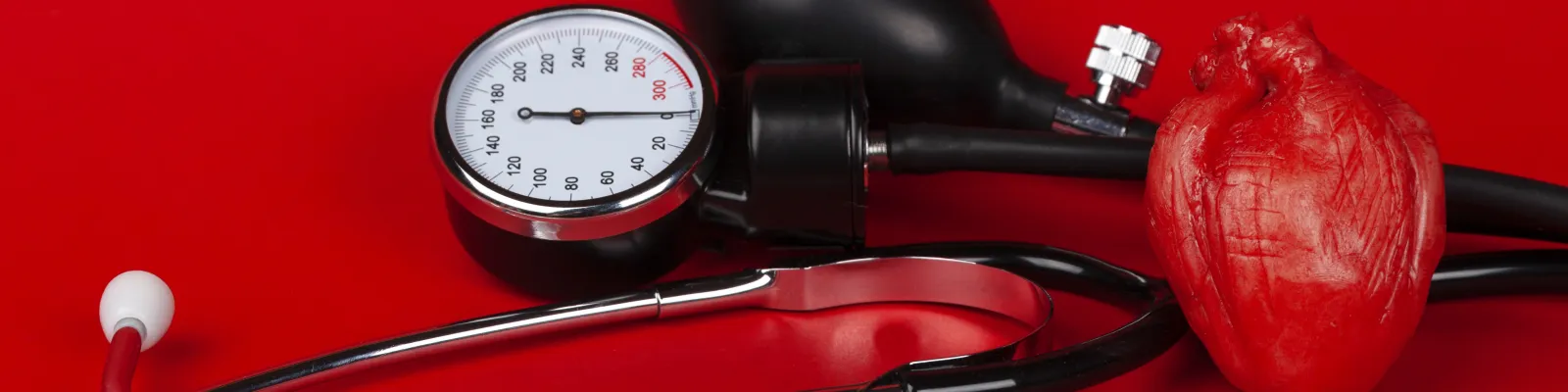 Photo of blood pressure reader with plastic heart