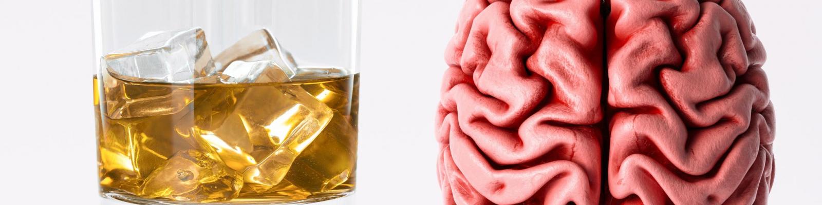 Photo of glass of alcohol beside brain