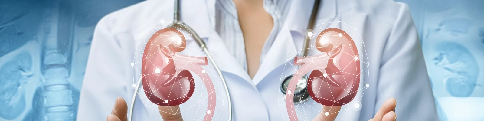 Photo of clinical staff with illustration of urinary tract