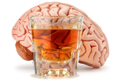 A glass of amber-colored alcohol in front of a plastic model of a brain