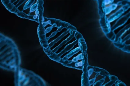DNA picture