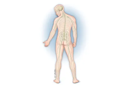 Spasticity and Traumatic Brain Injury