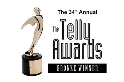 2013 Bronze Telly Award