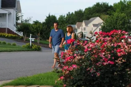 Couple walking together in street