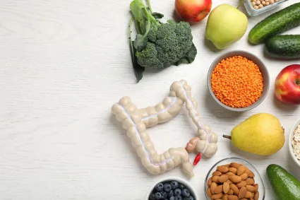 Illustration of bowel and vegetables
