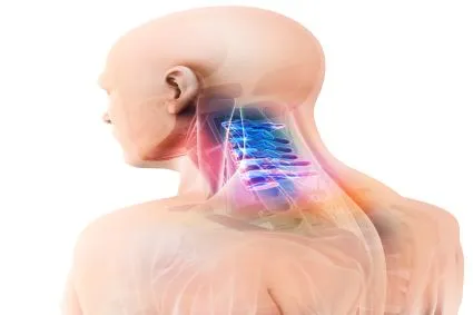 A bald man facing forward. His neck is see through making his upper spine visible.