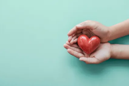 Photo of hands holding a heart shaped object