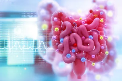 Illustration of bowel