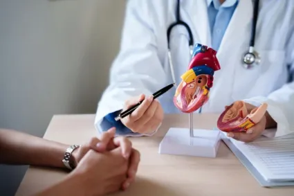 Doctor pointing to a heart model 