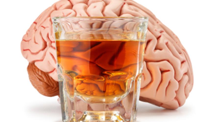 A glass of amber-colored alcohol in front of a plastic model of a brain