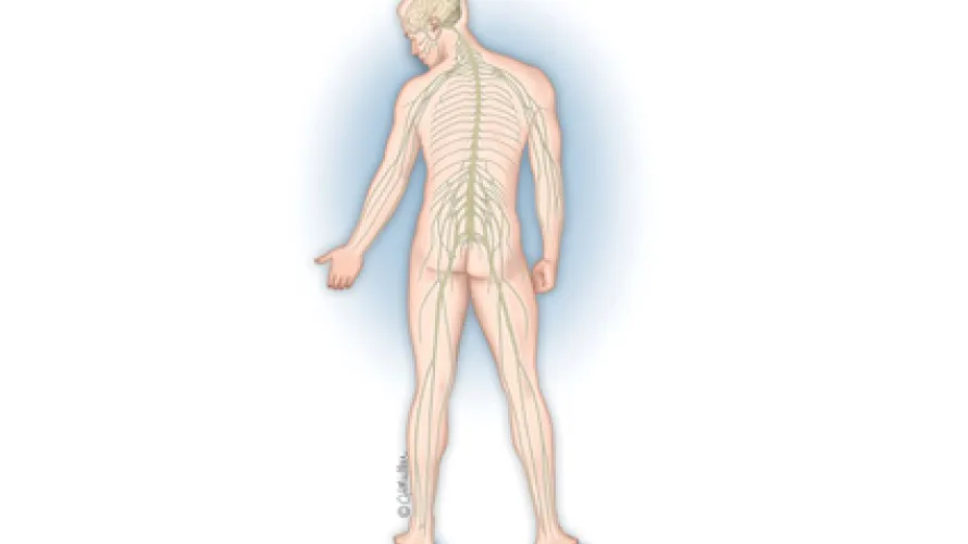 Spasticity and Traumatic Brain Injury