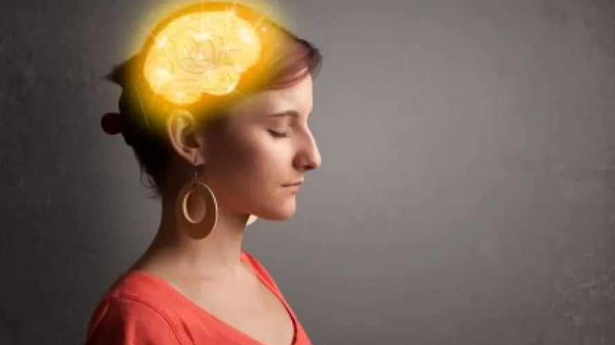 Photo with image of brain highlighted.