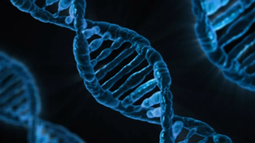 DNA picture