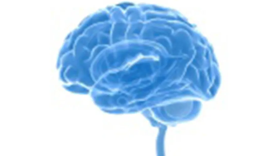 Image of brain