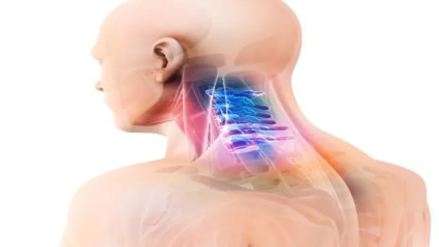 A bald man facing forward. His neck is see through making his upper spine visible.
