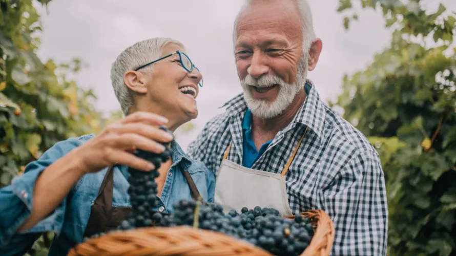 An Elderly Couple